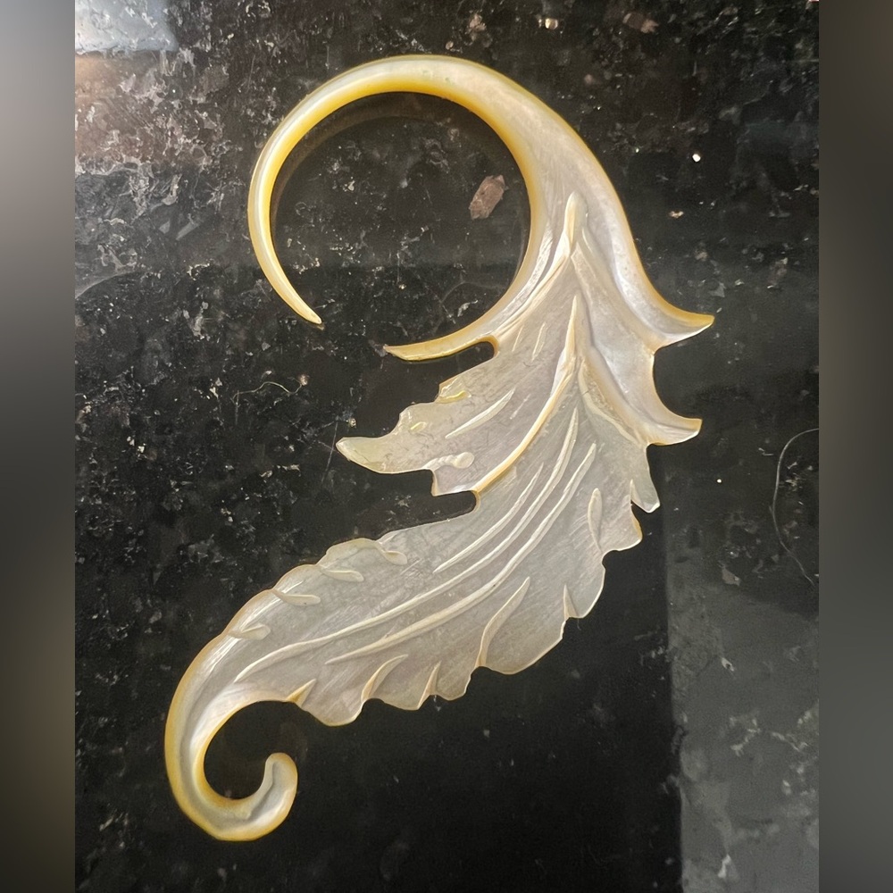 Earring Plug - Picture 2 of 2